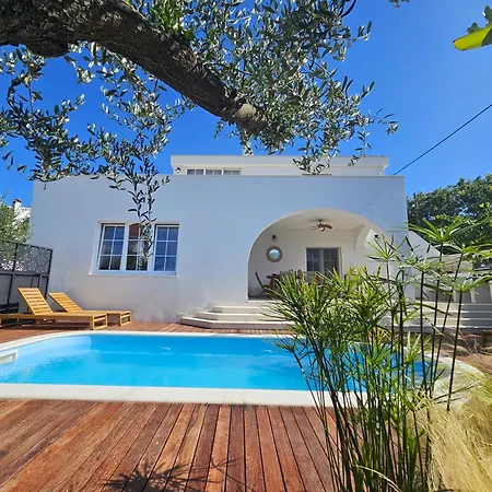 Διαμέρισμα The Three Flowers Pool House Τρογκίρ