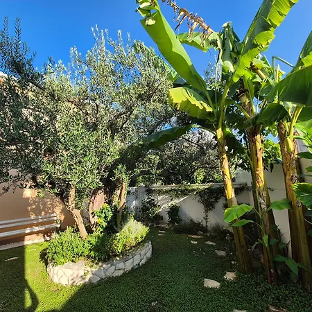 The Three Flowers Pool House Trogir